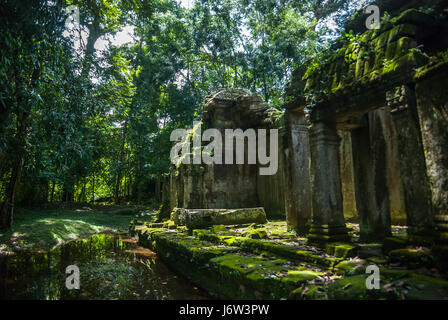 Alte Architektur der Ta Prohm Tempel mit Canal in Angkor Komplex, Siem Reap, Kambodscha. Stockfoto