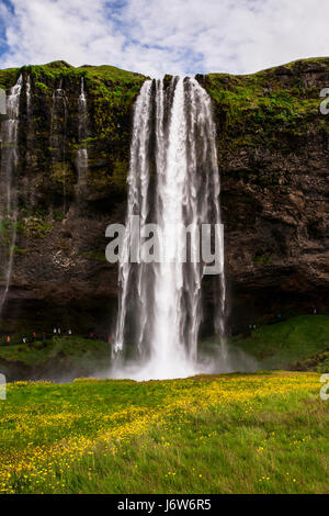 Seljalandsfoss Wasserfälle, Wasserfälle, foss, gelbe Wildblumen in Island, pt Europa Sommer Wasserfall pt foss, fallende Gewässer Stockfoto