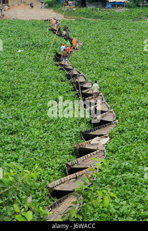 Boote am Fluss Buriganga eine provisorische Brücke als Wasserhyazinthen behindern Bewegung der Boote auf dem Fluss bilden zusammen gebunden. Dhaka, Bangladesch Stockfoto