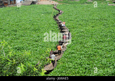 Boote am Fluss Buriganga eine provisorische Brücke als Wasserhyazinthen behindern Bewegung der Boote auf dem Fluss bilden zusammen gebunden. Dhaka, Bangladesch Stockfoto