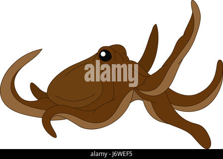 Auslosung Octopus Cartoon Illustrationskunst isoliert Grafik Tiere wild lebenden Fischen Stockfoto