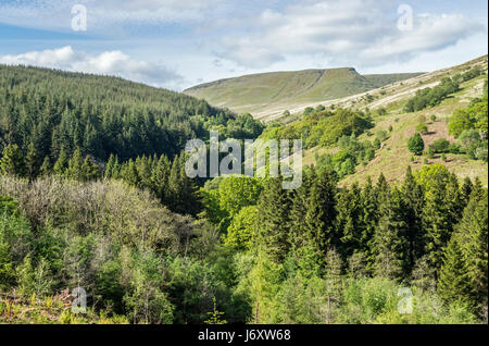 Der Rand des Waun Rydd, einem hohen Hügel in den Brecon Beacons National Park Stockfoto