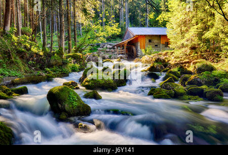 Schönheit der Landschaft mit Fluss und Wald in Österreich, Golling Stockfoto