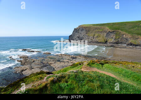 Sommer im Crackington Haven auf der Nordküste von Cornwall Stockfoto