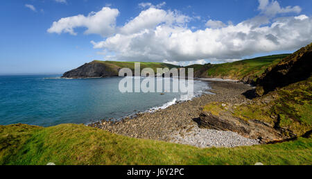 Panoramablick auf den Strand und Klippen im Crackington Haven in der Nähe von Bude auf der Nordküste von Cornwall, am Fuße der Cambeak Landzunge Stockfoto