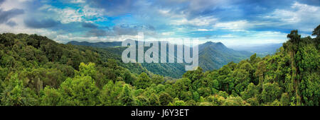 Breites Panorama von touristischen Lookout im Dorrigo National Park in Richtung Berge und Hügel bedeckt mit dicken immergrünen kalten Regenwald - eine einzigartige r Stockfoto