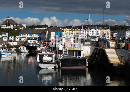 Paignton Inner harbour in Torbay der Geburtsort von Agatha Christie, Grande-Bretagne, groß, Großbritannien, Hotel, Hotels, Inglaterra, Gasthaus, Gasthöfe, Inseln Stockfoto