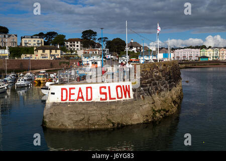 Paignton Inner harbour in Torbay der Geburtsort von Agatha Christie, Grande-Bretagne, groß, Großbritannien, Hotel, Hotels, Inglaterra, Gasthaus, Gasthöfe, Inseln Stockfoto