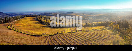 Panorama über die Weinberge im Herbst bei Sonnenuntergang. Italien, Toskana Stockfoto