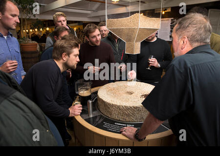 Großbritannien, Cornwall, St Austell, Trevarthian Road, St Austell Brauerei, Besucher auf Führung durch die Brauerei gezeigt werden verschiedene Malz-Typen Stockfoto