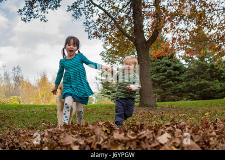 Mädchen und jungen, die Hand in Hand laufen durch Wald mit golden Retriever Hund Stockfoto