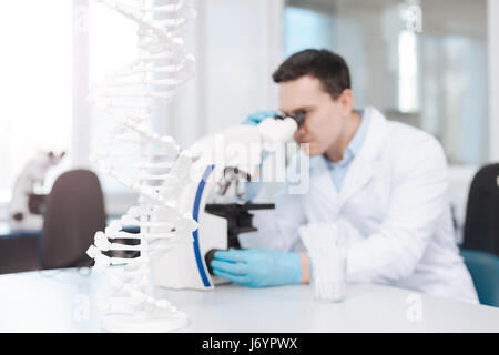 Konzentrierte sich auf DNA-Modell Foto zeigt Arbeiten im Labor Stockfoto