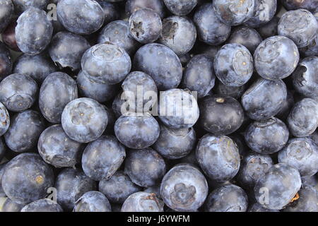 frische Heidelbeeren Früchten Closeup als eine Hintergrundtextur Essen Stockfoto