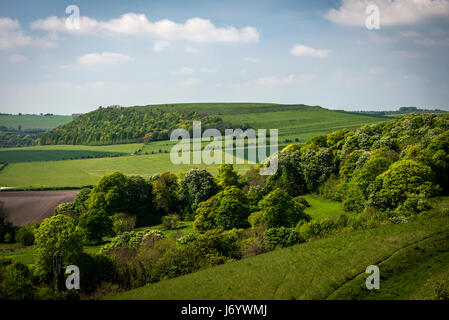 Battlesbury Eisenzeit Wallburg in der Nähe von Warminster, Wiltshire, UK Stockfoto