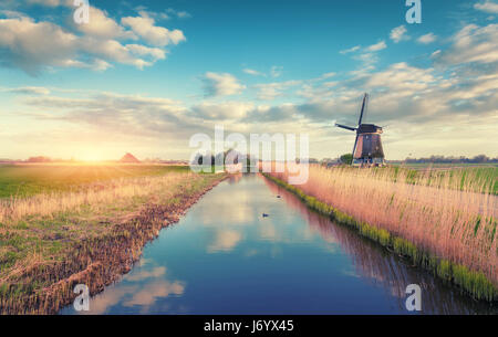 Windmühlen bei Sonnenaufgang. Rustikale Frühlingslandschaft mit holländischen Windmühlen in der Nähe von Wasserkanälen, gelbe Schilf und blauer Himmel mit Wolken spiegeln sich in Wasser. Bin Stockfoto