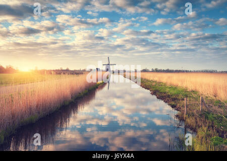 Windmühlen bei Sonnenaufgang. Rustikale Frühlingslandschaft mit holländischen Windmühlen in der Nähe von Wasserkanälen, gelbe Schilf und blauer Himmel mit Wolken spiegeln sich in Wasser. Bin Stockfoto