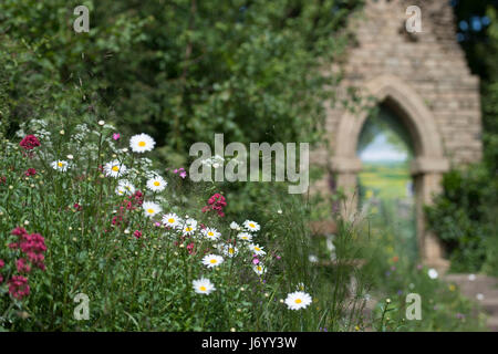 Eine Gesamtansicht der Welcome to Yorkshire Garten während der Pressevorschau von der RHS Chelsea Flower Show im Royal Hospital Chelsea, London. Der Garten, inspiriert von der Landschaft der Yorkshire Küste verfügt über Klippen, Strand und einem zerstörten Abtei. Stockfoto