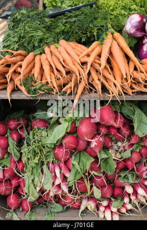 Bio-Gemüse. Radieschen und Karotten, zum Verkauf an Daylesford Organic farm Shop Sommerfest. Daylesford, Cotswolds, Gloucestershire, England Stockfoto