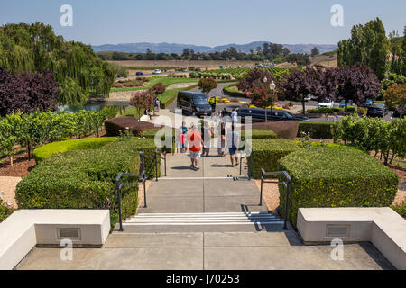 Touristen, Besucher, Domaine Carneros Napa, Napa Valley, Napa County, California, Vereinigte Staaten von Amerika Stockfoto