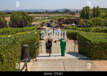 Touristen, Besucher, Domaine Carneros Napa, Napa Valley, Napa County, California, Vereinigte Staaten von Amerika Stockfoto