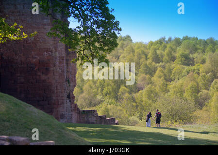 Bothwel Schloss erdet Touristen und Burgwall Om Ufer des Clyde Stockfoto