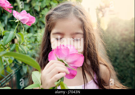 Ein kleines Mädchen mit langen Haaren riecht sanft eine rosa Rose in einem sonnendurchfluteten Garten, ihre Augen geschlossen in einem Moment der Ruhe und Verbindung mit der Natur Stockfoto