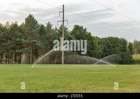 Automatische Garten Rasensprenger in Aktion Bewässerung Rasen Abend. Stockfoto