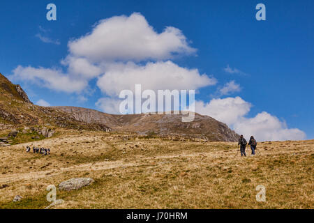 Wanderer in der Nähe von Llyn Idwal, Snowdonia, North Wales, an einem schönen Frühlingstag. Stockfoto