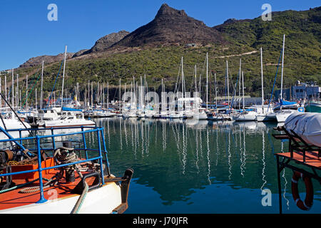 Angeln, Fischkuttern und Yachten vor Anker im Hafen von Hout Bay bei Kapstadt in Südafrika. Stockfoto