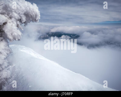 Höchste Punkte der Niederen Tatra - Chopok Peak und Dumbier Peak (Slowakei). Wunderschönen Winterbergen Landschaft über den Wolken. Stockfoto