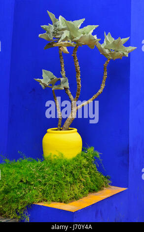 Die blauen und gelben Kontrast im Majorelle Garten gefunden. Marrakesch, Marokko Stockfoto