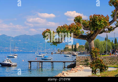 Torri del Benaco am Gardasee in Italien Stockfoto