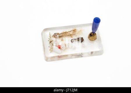 Stifthalter mit Seepferdchen und Muscheln im Inneren Stockfoto