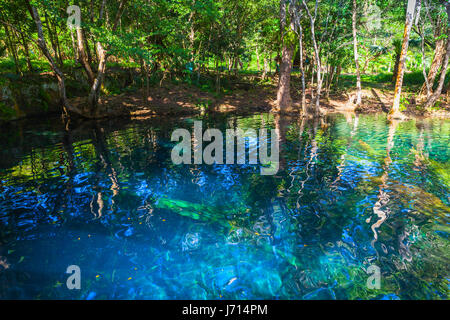 Noch blaue See in tropischen Wald, Naturlandschaft der Dominikanischen Republik Stockfoto