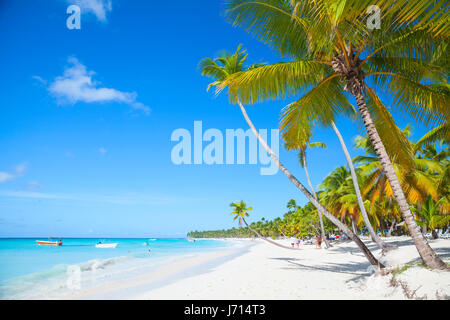 Landschaft mit Palmen wachsen auf sandigen Strand. Karibik, Dominikanische Republik, Saona Insel Küste, beliebten touristischen Ferienort Stockfoto