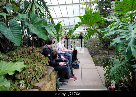 Eine Gruppe ausländischer Schuljungen, die Teenager sind, entspannen sich im Princess of Wales Conservatory inmitten der Gewächshauspflanzen in Kew Gardens, London, UK KATHY DEWITT Stockfoto