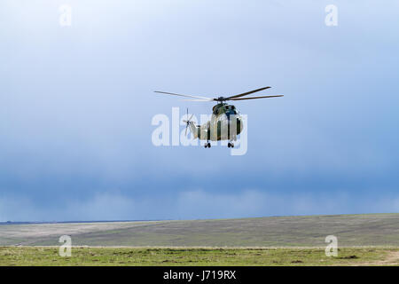 IAR 330 Puma SOCAT erscheint im Schießstand von Smirdan während einer multinationalen NATO-Militärübung „Wind Spring -15“. Stockfoto