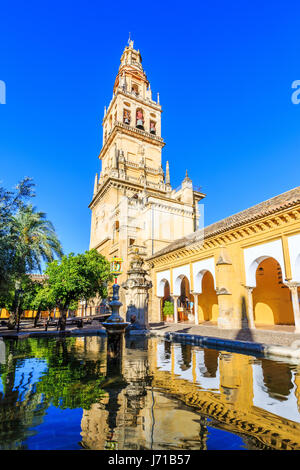 Córdoba, Spanien. Glockenturm an der Mezquita Moschee-Kathedrale von Court von Orangen. Stockfoto