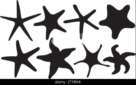 Reihe von verschiedenen Seestern isoliert auf weiss Stock Vektor