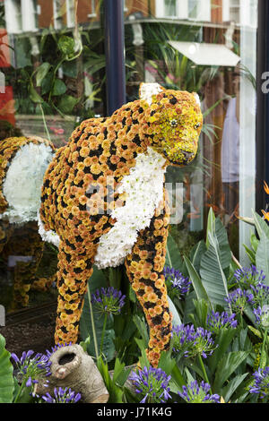Chelsea in voller Blüte, London, UK. 22. Mai 2017. Das Chelsea in der Blüte Floral Safari ist eine Darstellung des Lebens Größe Tiere durch die Straßen von Chelsea - Kings Road und Sloan Square. Viele der Geschäfte nehmen auch Teil in Chelsea in voller Blüte mit spektakulären Shop vorderen Blume zeigt. Bildnachweis: Tony Farrugia/Alamy Live-Nachrichten Stockfoto