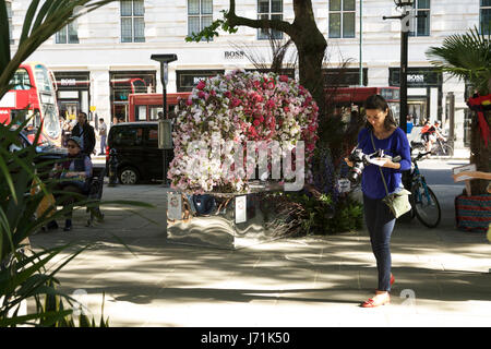 Chelsea in voller Blüte, London, UK. 22. Mai 2017. Das Chelsea in der Blüte Floral Safari ist eine Darstellung des Lebens Größe Tiere durch die Straßen von Chelsea - Kings Road und Sloan Square. Viele der Geschäfte nehmen auch Teil in Chelsea in voller Blüte mit spektakulären Shop vorderen Blume zeigt. Bildnachweis: Tony Farrugia/Alamy Live-Nachrichten Stockfoto
