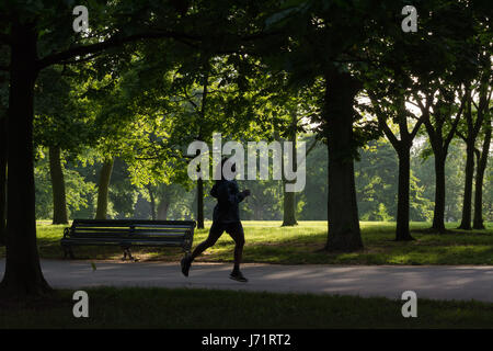 Regent's Park, London, Großbritannien. Mai 2017. Ein Läufer auf dem breiten Spaziergang im Regent's Park an einem schönen frühen Morgen. Kredit: Patricia Phillips/ Alamy Live News Stockfoto