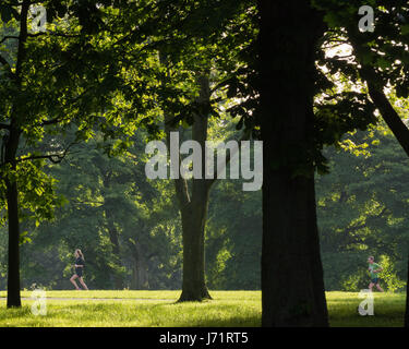 Regent's Park, London, Großbritannien. Mai 2017. Fernläufer trainieren im Regent's Park an einem schönen frühen Morgen. Kredit: Patricia Phillips/ Alamy Live News Stockfoto