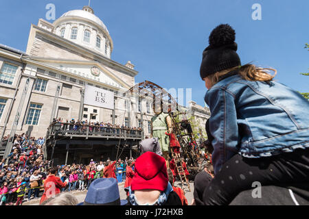 Montreal, CA - 20. Mai 2017: Royal de Luxe Riesen im Rahmen der Gedenkfeiern zum 375-jährigen Jubiläum von Montreal Stockfoto