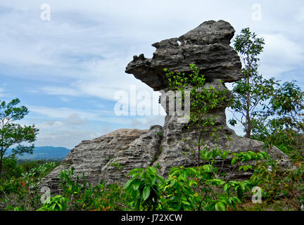 Schalenförmigen Stein. Der Pa Hin Ngam Nationalpark in Chaiyaphum, Thailand Stockfoto