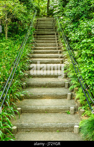 Einen Gartenweg zu einem unbekannten Ziel Stockfoto