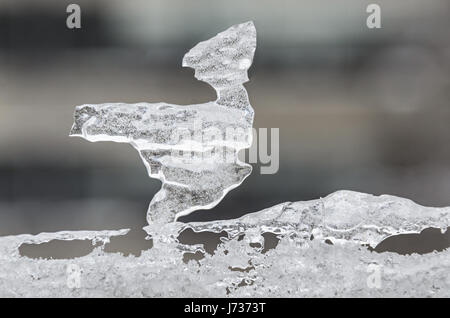Vogel-Form gebildet vom Fenster "Eis" Winterzeit. Stockfoto