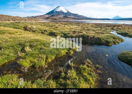 Schneebedeckte Vulkan Parinacota über See Chungara, Chile Stockfoto