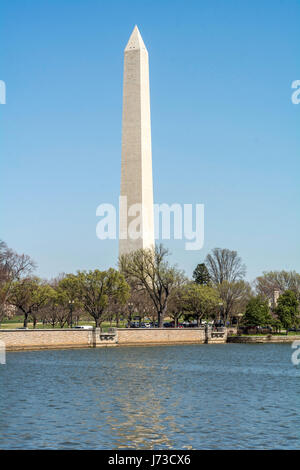 Washington Anfang März - schönes Wetter, blühende Magnolie, Blick auf die Stadt. Das Washington Monument ist sichtbar Stockfoto