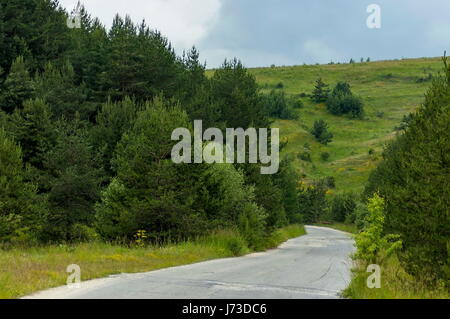 Panorama der ökologischen Weg durch einen grünen Sommer Wald, Plana Berg, Bulgarien Stockfoto